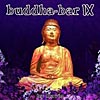 Buddha Bar IX